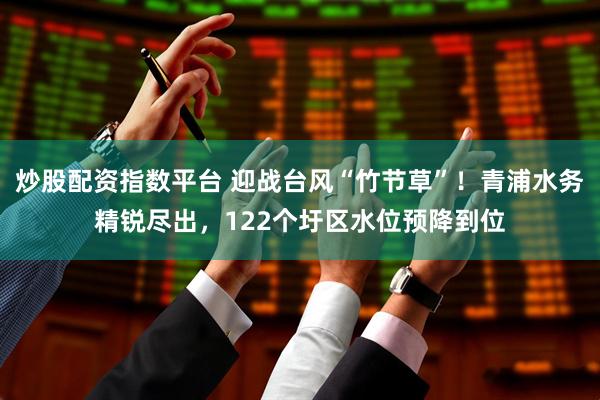 炒股配资指数平台 迎战台风“竹节草”！青浦水务精锐尽出，122个圩区水位预降到位