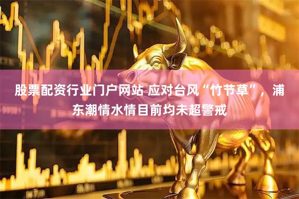 股票配资行业门户网站 应对台风“竹节草”，浦东潮情水情目前均未超警戒